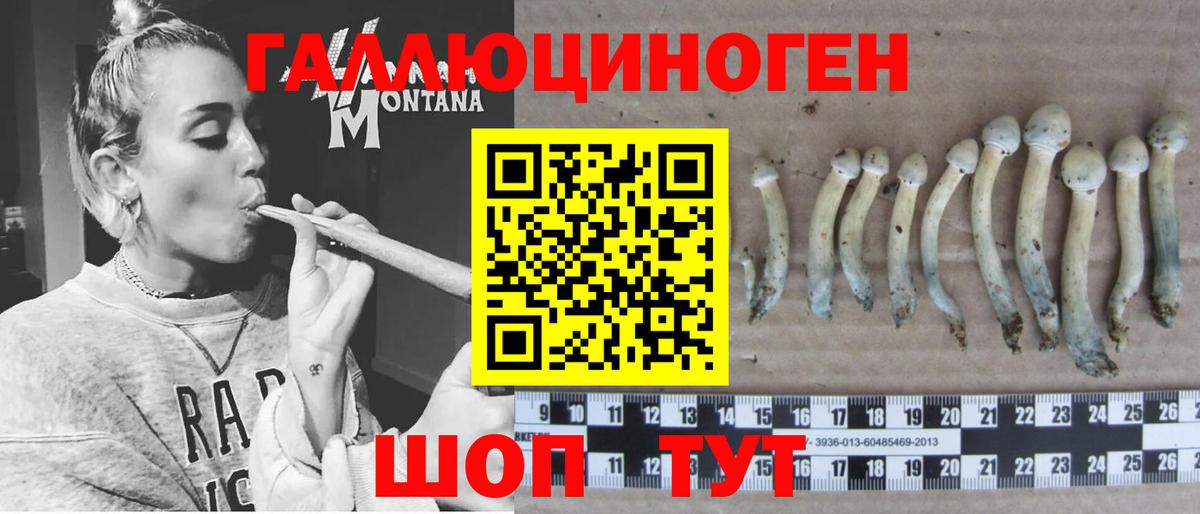 Артём  Псилоцибиновые грибы мухоморы  Вход с VPN 